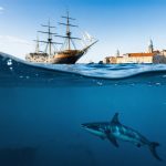 Unlocking the Ocean’s Secrets: How a Historic Seaport is Pioneering the Future of Marine Science